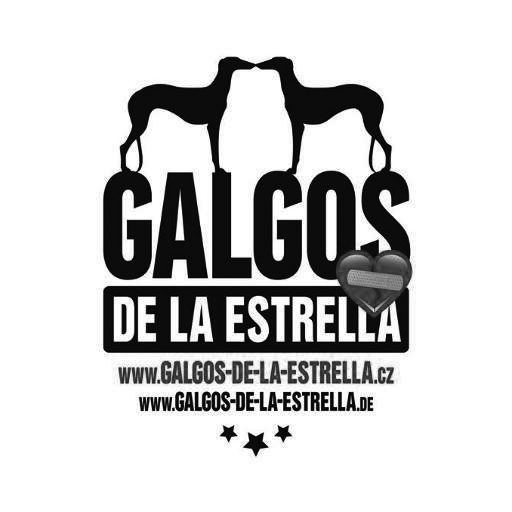 Galgos de la Estrella.jpg
